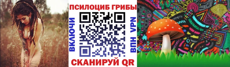 KRAKEN маркетплейс  Пучеж  Псилоцибиновые грибы MAGIC MUSHROOMS 
